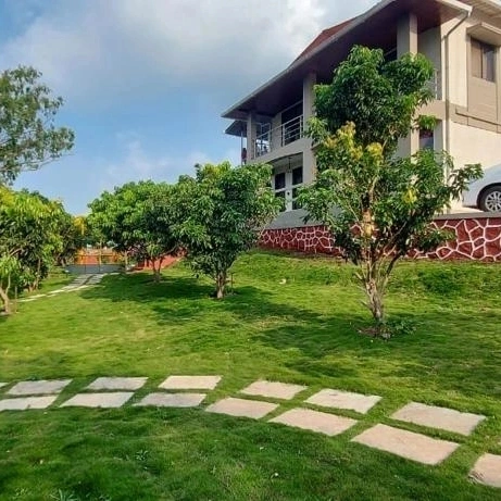 Image gallery image